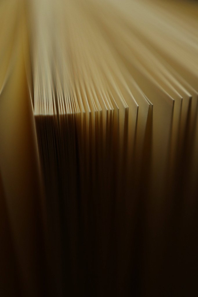 Notebook: Dracula by Bram Stoker, 1897 - Tales for Tadpoles