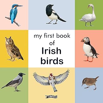 Obrien: My First Book of Irish Birds - Tales for Tadpoles