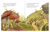 Oein DeBhairduin: The Slug and the Snail, illustrated by Olya Anima - Tales for Tadpoles