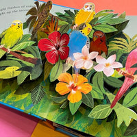 Patricia Hegarty: World of Birds, illustrated by Xuan Le - Tales for Tadpoles
