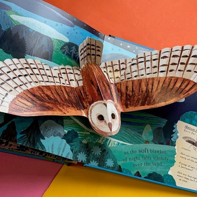 Patricia Hegarty: World of Birds, illustrated by Xuan Le - Tales for Tadpoles