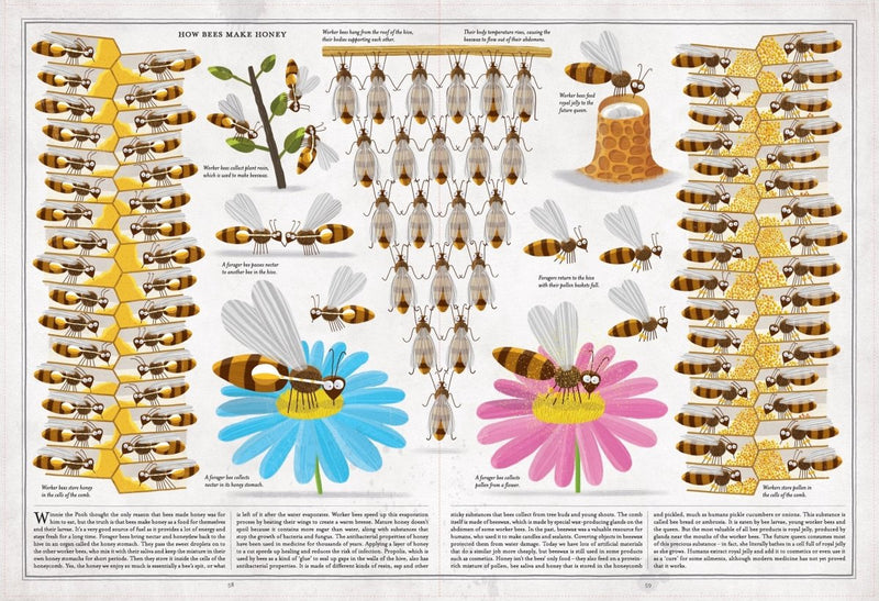 Piotr Socha: The Book of Bees - Tales for Tadpoles