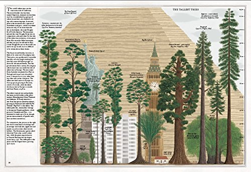 Piotr Socha: The Book of Trees - Tales for Tadpoles