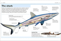 Pocket Eyewitness Sharks: Facts at your fingertips - Tales for Tadpoles