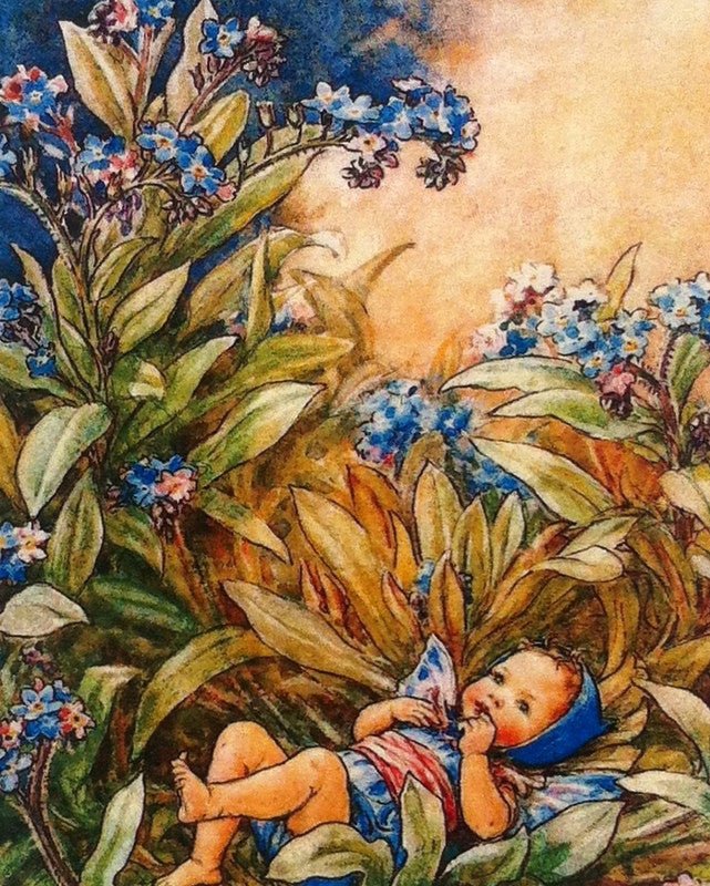 Print: Flower Fairies - The Forget - Me - Not Fairy - Tales for Tadpoles