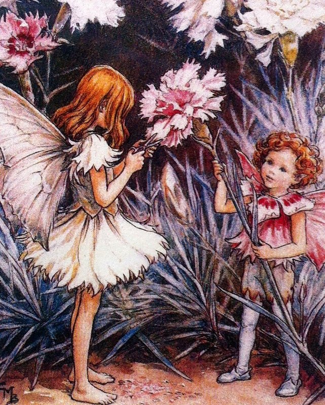 Print: Flower Fairies - The Pink Fairies - Tales for Tadpoles