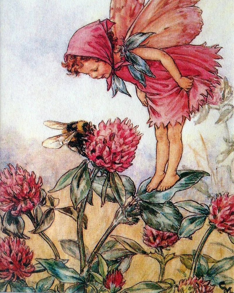 Print: Flower Fairies - The Red Clover Fairy - Tales for Tadpoles