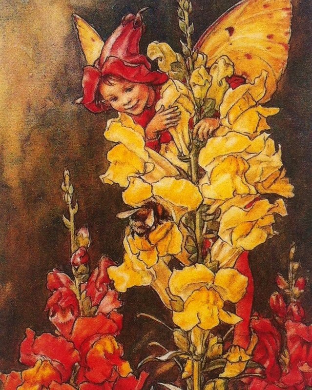 Print: Flower Fairies - The Snapdragon Fairy - Tales for Tadpoles