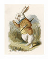 Print: John Tenniel - Alice in Wonderland, The White Rabbit - Tales for Tadpoles