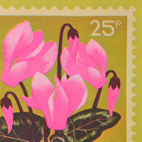 Print: Printer Johnson - Cyclamen (A5) - Tales for Tadpoles