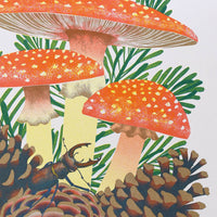 Print: Printer Johnson - Fly Agaric (A4) - Tales for Tadpoles