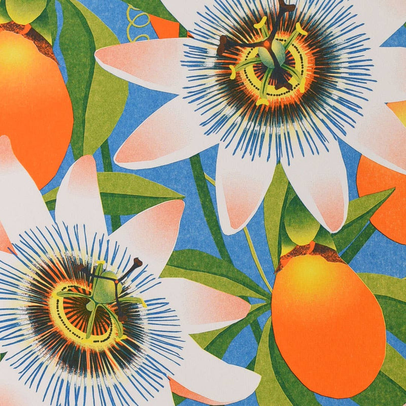 Print: Printer Johnson - Passion Flower (A3) - Tales for Tadpoles