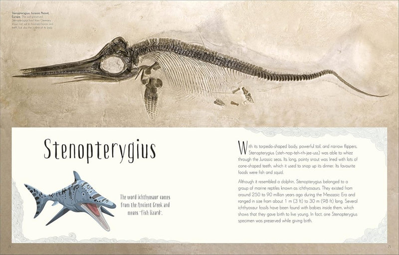 Professor Anusuya: Dinosaurs and Other Prehistoric Life, illustrated by Chinsamy - Turan - Tales for Tadpoles