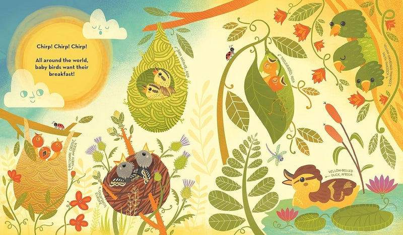 Rachel Ignotofsky: What's Inside a Bird's Nest? - Tales for Tadpoles