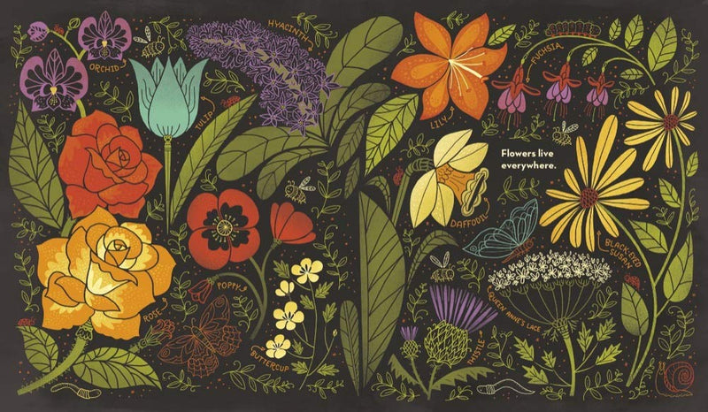 Rachel Ignotofsky: What's Inside a Flower - Tales for Tadpoles