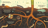 Rachel Ignotofsky: What's Inside a Flower - Tales for Tadpoles