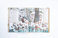 Rachel Piercey: Brown Bear Wood - If You Go Down to the Woods Today, illustrated by Freya Hartas - Tales for Tadpoles