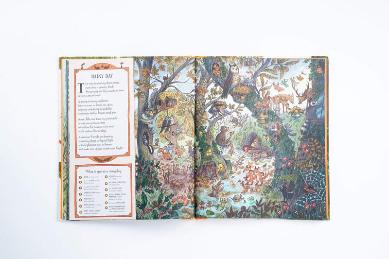 Rachel Piercey: Brown Bear Wood - If You Go Down to the Woods Today, illustrated by Freya Hartas - Tales for Tadpoles