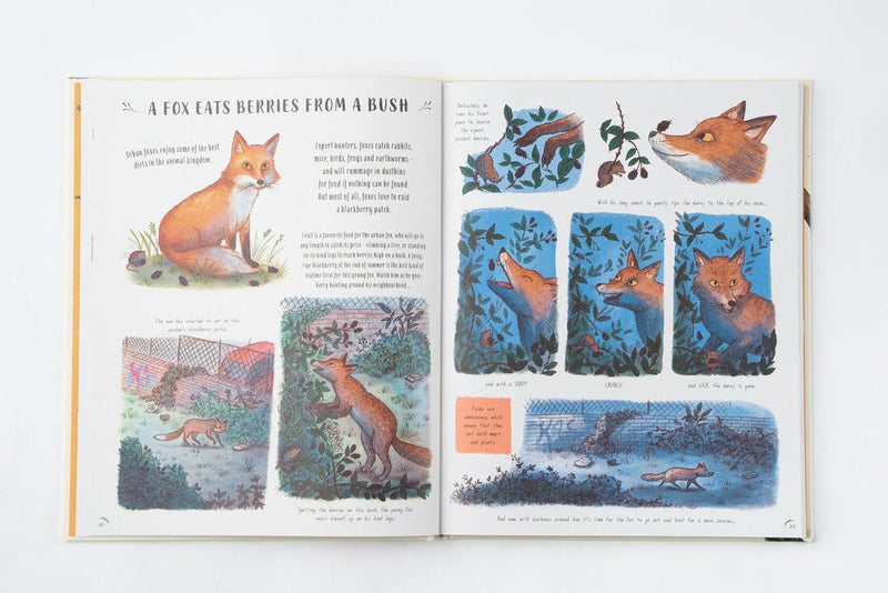 Rachel Williams: Slow Down, illustrated by Freya Hartas - Tales for Tadpoles