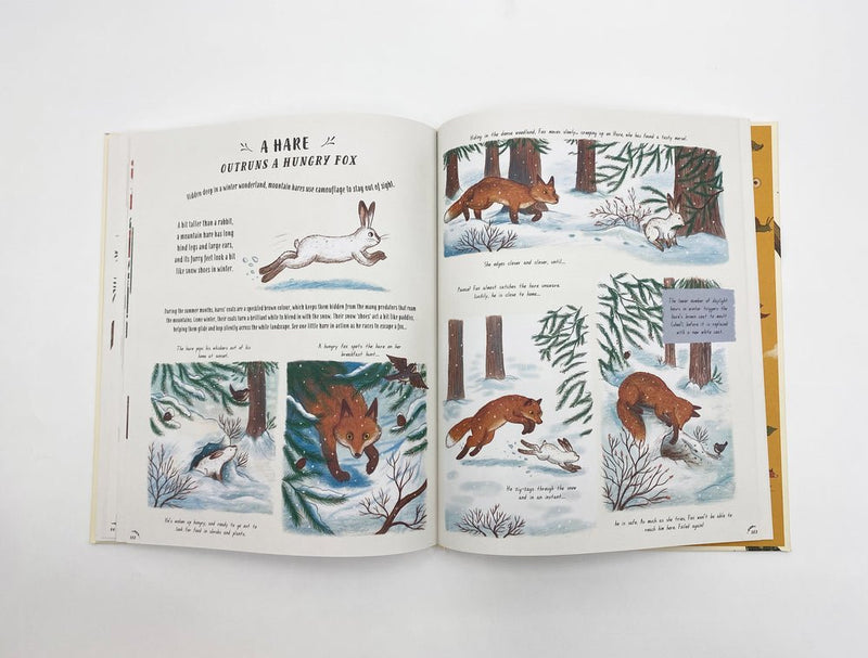 Rachel Williams: Slow Down, illustrated by Freya Hartas - Tales for Tadpoles