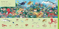 Rebecca Jones: There are 101 Sea Creatures in this Book - Tales for Tadpoles
