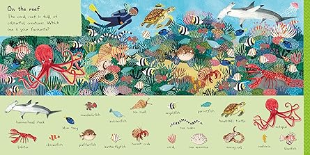 Rebecca Jones: There are 101 Sea Creatures in this Book - Tales for Tadpoles