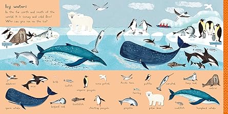 Rebecca Jones: There are 101 Sea Creatures in this Book - Tales for Tadpoles
