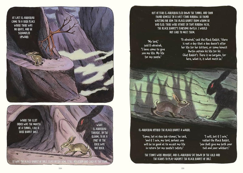 Richard Adams: Watership Down. The Graphic Novel, illustrated by James Sturm and Joe Sutphin - Tales for Tadpoles