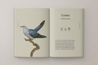 Robert Macfarlane and Jackie Morris: The Book of Birds - Tales for Tadpoles