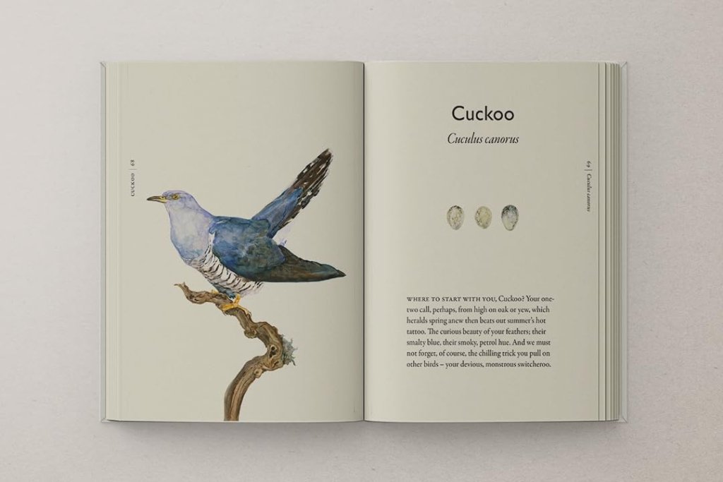 Robert Macfarlane and Jackie Morris: The Book of Birds - Tales for Tadpoles