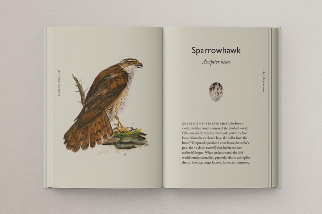 Robert Macfarlane and Jackie Morris: The Book of Birds - Tales for Tadpoles