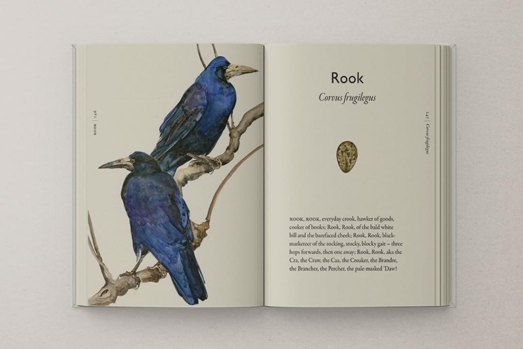 Robert Macfarlane and Jackie Morris: The Book of Birds - Tales for Tadpoles