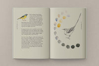 Robert Macfarlane and Jackie Morris: The Book of Birds - Tales for Tadpoles