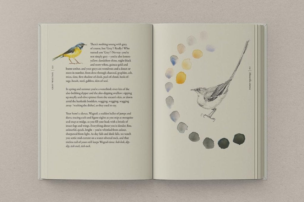 Robert Macfarlane and Jackie Morris: The Book of Birds - Tales for Tadpoles