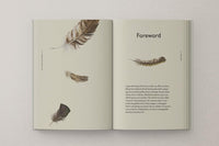 Robert Macfarlane and Jackie Morris: The Book of Birds - Tales for Tadpoles