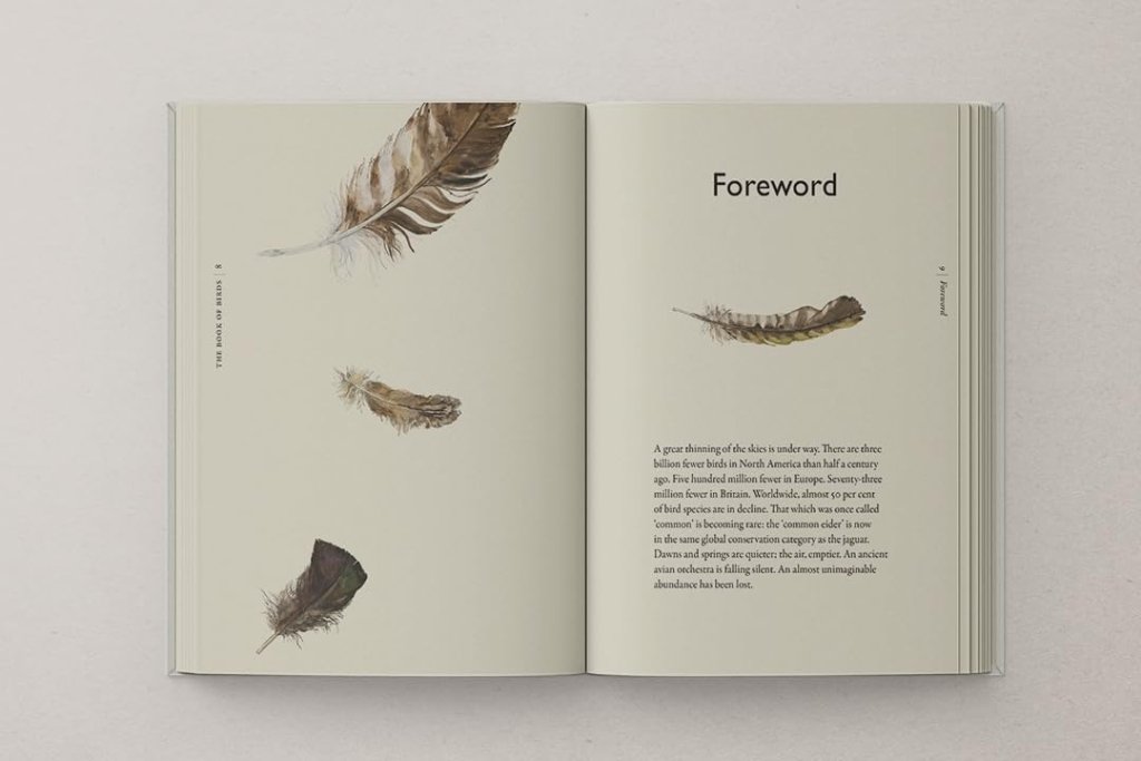 Robert Macfarlane and Jackie Morris: The Book of Birds - Tales for Tadpoles