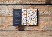 Robert Macfarlane and Jackie Morris: The Lost Spells - Tales for Tadpoles