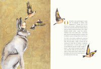 Robert Macfarlane and Jackie Morris: The Lost Words - Tales for Tadpoles