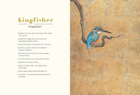 Robert Macfarlane and Jackie Morris: The Lost Words - Tales for Tadpoles
