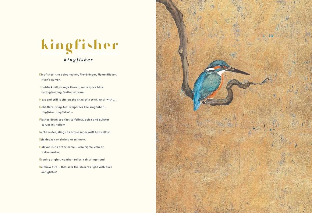 Robert Macfarlane and Jackie Morris: The Lost Words - Tales for Tadpoles