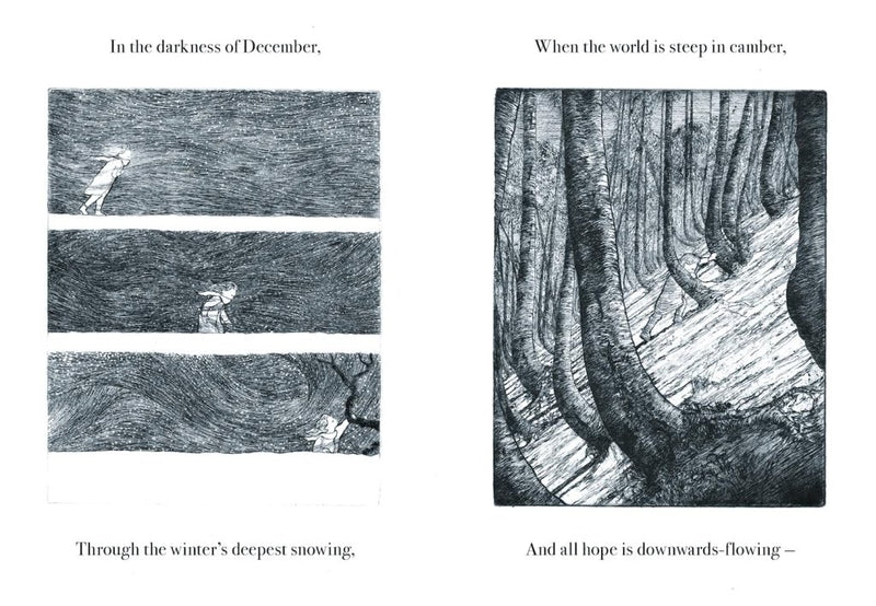 Robert Macfarlane: Firefly, illustrated by Luke Adam Hawker - Tales for Tadpoles