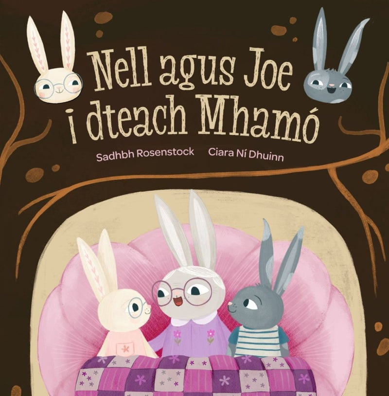 Sadhbh Rosenstock: Nell agus Joe i dTeach Mhamo, illustrated by Ciara Ni Dhuinn - Tales for Tadpoles