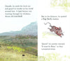 Sally Anne Garland: Bear was There - Tales for Tadpoles
