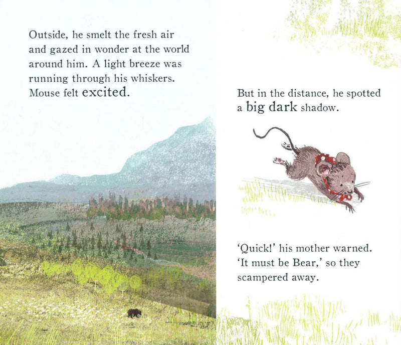 Sally Anne Garland: Bear was There - Tales for Tadpoles