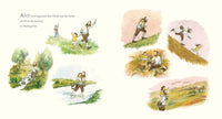 Sam McBratney: Mindi and the Goose No One Else Could See, Illustrated by Linda Ólafsdóttir (Second - Hand) - Tales for Tadpoles