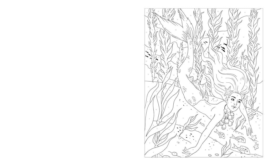 Sara Storino and Nathalie Ortega: Enchanted World Colour by Numbers - Tales for Tadpoles