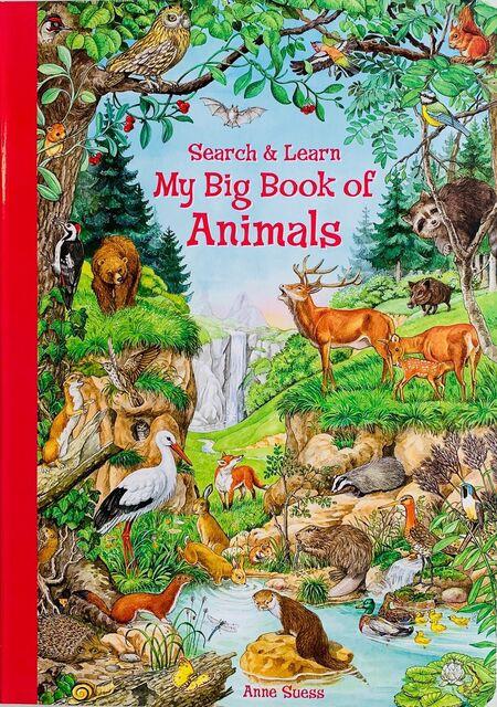 Anne Suess: Search and Learn - My Big Book of Animals