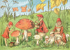 Signe Aspelin: Tales of the Mushroom Folk - Tales for Tadpoles