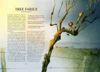 Sine Quinn: The Faerie Isle, illustrated by Dermot Flynn - Tales for Tadpoles