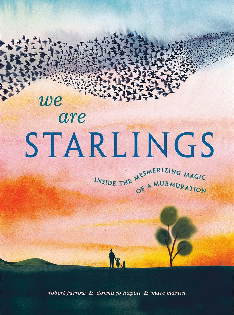 Robert Furrow and Donna Jo Napoli: We Are Starlings, illustrated by Marc Martin